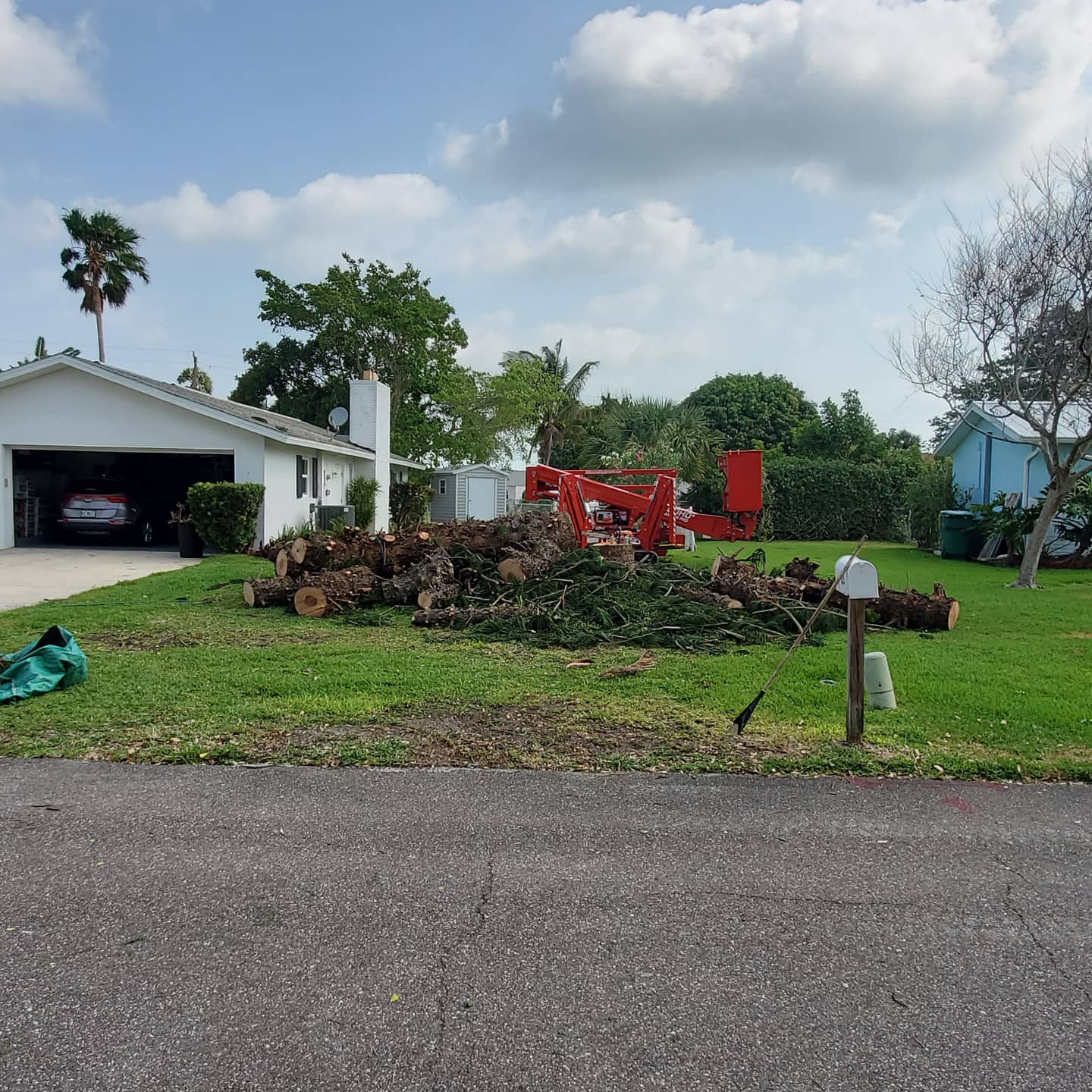 Post-tree Removal