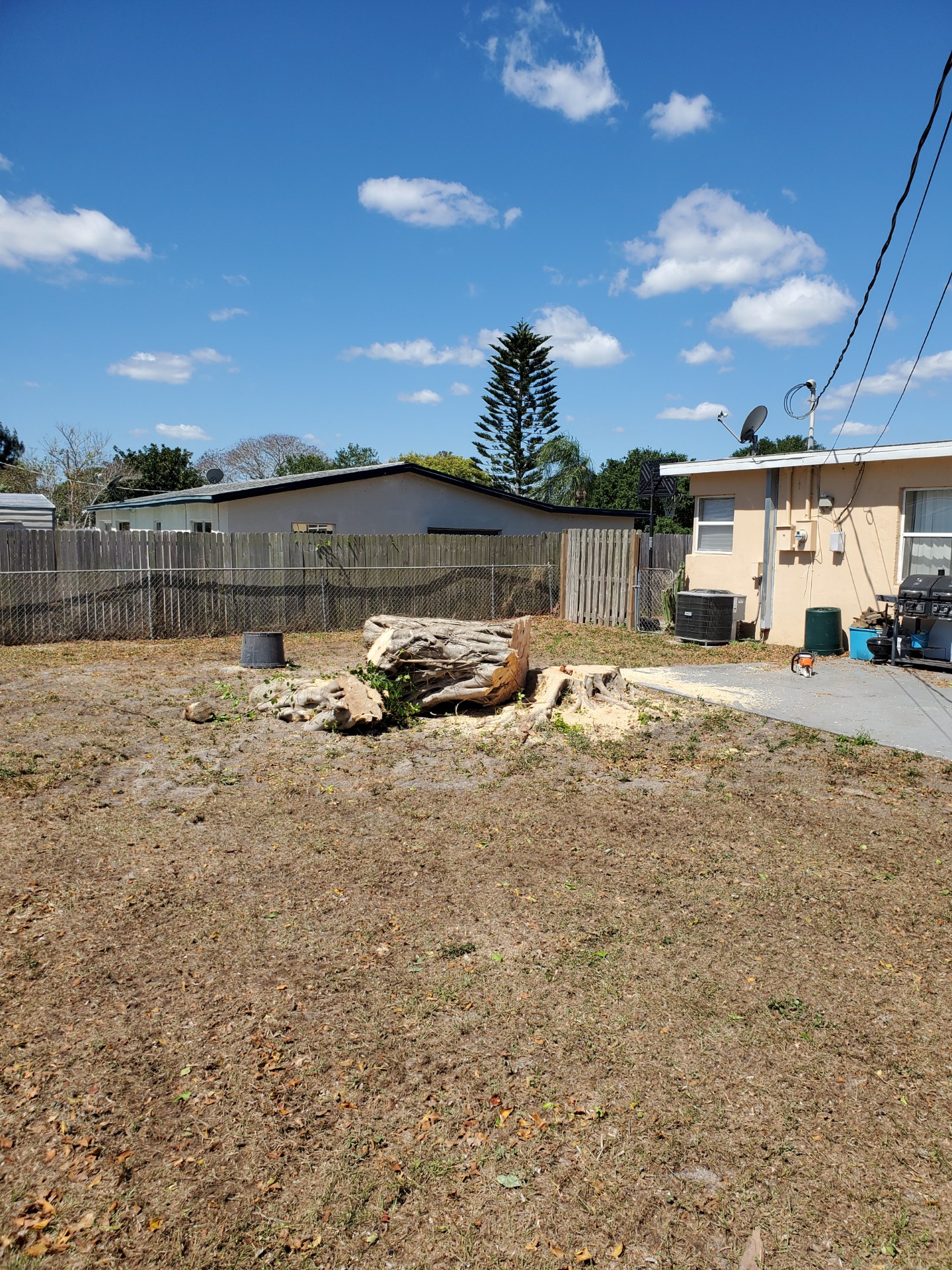 Stump
