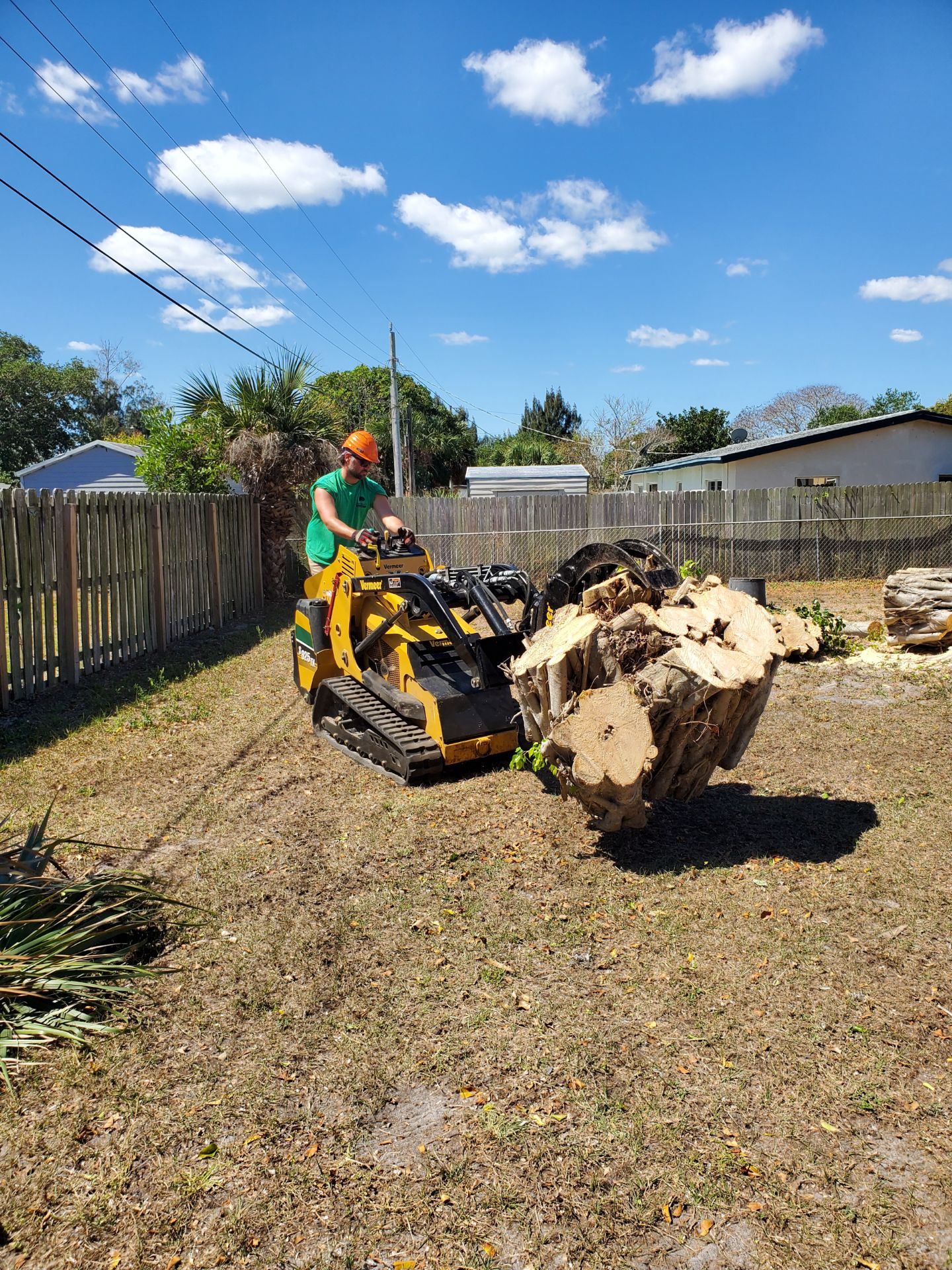 Stump Removal